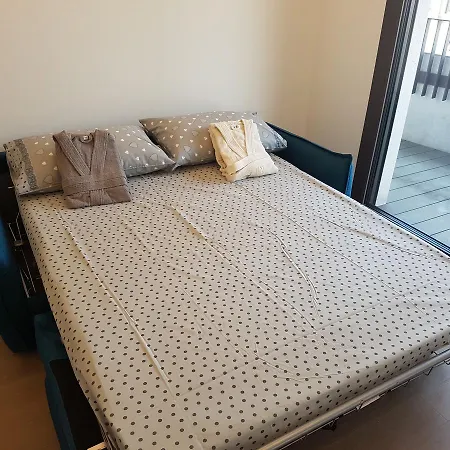 Viale Severino Boezio 20 *